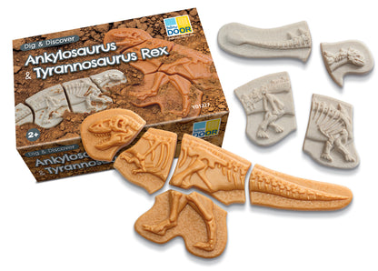 Yellow Door Dig & Discover – Ankylosaurus & Tyrannosaurus Rex