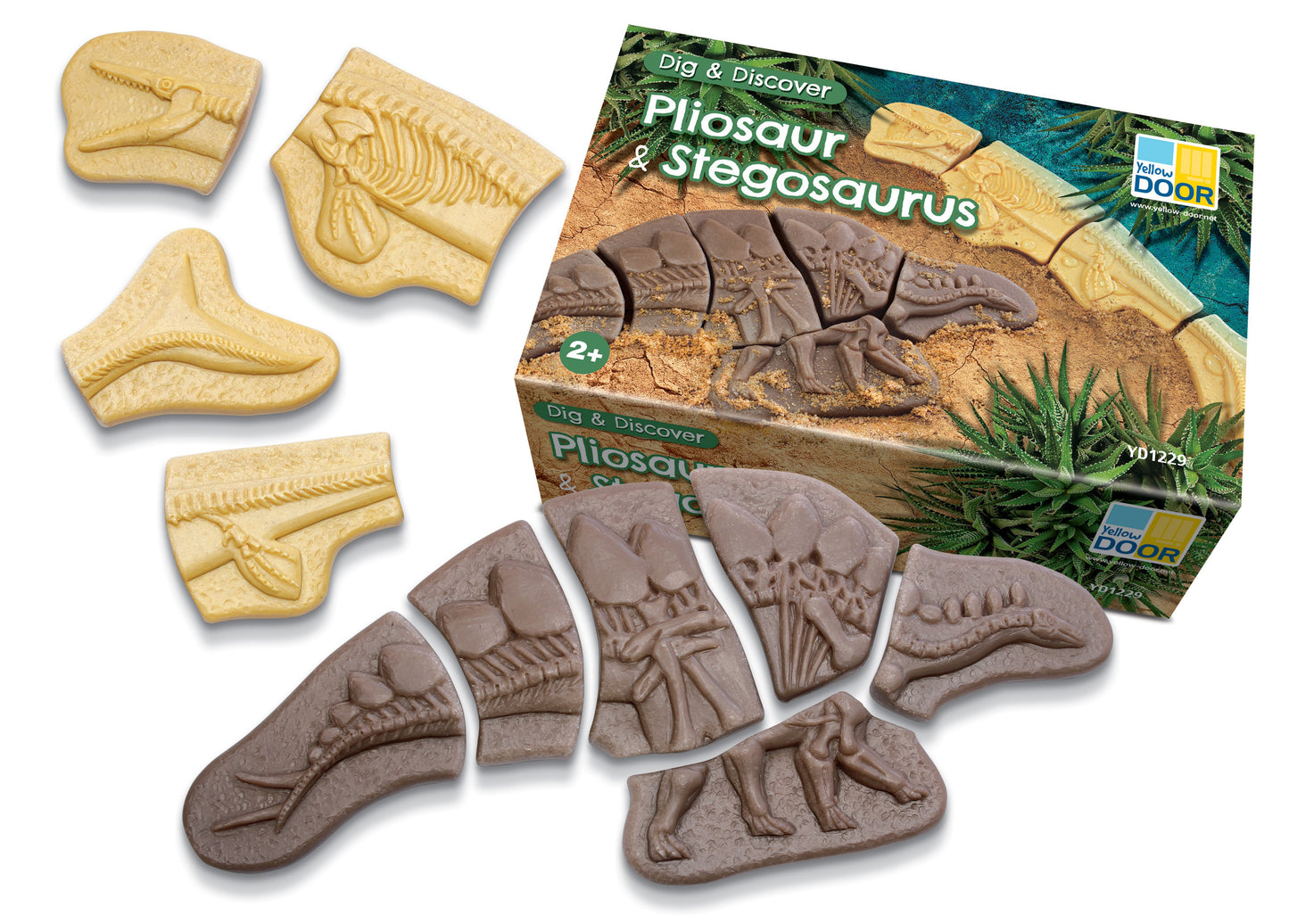 Yellow Door Dig & Discover – Pliosaur & Stegosaurus