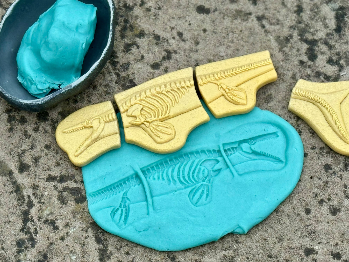 Yellow Door Dig & Discover – Pliosaur & Stegosaurus